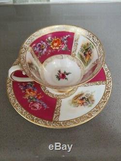 8pc Set, Royal Dresdener Bavaria Schumann Tea Cup & Saucer Set Germany Floral
