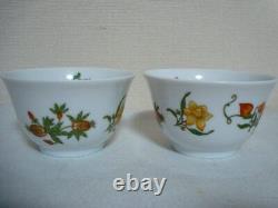 Authentic Hermes Siesta 2 Set Asian Tea Cup and Saucer and lid