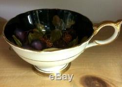 Aynsley Black Orchard Fruit C1174 Teacup and Saucer Set England Rare HTF