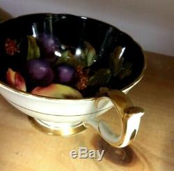Aynsley Black Orchard Fruit C1174 Teacup and Saucer Set England Rare HTF