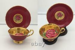 Beautiful Paragon Burgundy/ Gold Floating Cabbage Rose Tea Cup & Saucer Set Cs47