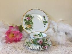 Beyer & Bock Fine porcelain teacup with Roses, 1950's German Tea Trio Set, Gift