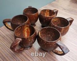 Handmade Coconut Shell Tea Cups Set Coconut Tea cups