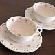 Hello Kitty Lace Rose Series Pair Tea Set Cup & Saucers Relief Tableware Sanrio