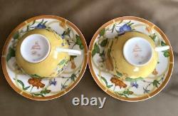 Hermes Siesta Tea Cup Saucer Tableware Yellow Floral Dinnerware 2 set Auth New