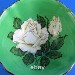 Huge Painted White Rose on Green Background Paragon Tea Cup and Saucer Set