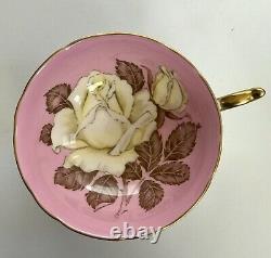 Large White Cabbage Roses Candy Pink Paragon Tea Cup Saucer Set Double Warrant