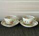 Mint HEREND Tea Cup & Saucer 2set Indian Flowers Tableware Authentic Item