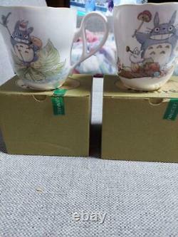 My Neighbor Totoro Tea Cup 2 Piece Set