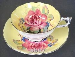PARAGON Antique Teacup & Saucer Set PLATINUM with HUGE FLOATING CABBAGE ROSE