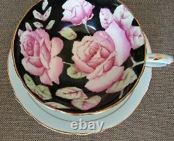 PARAGON Huge Cabbage Roses Teacup and Saucer Set Double Warrant