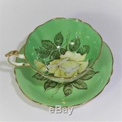 Paragon Huge White Cabbage Rose Tea Cup and Saucer Set