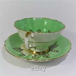Paragon Huge White Cabbage Rose Tea Cup and Saucer Set