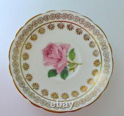 Paragon Pink Cabbage Rose Tea Cup & Saucer Set