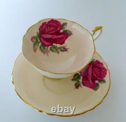 Paragon R. Johnson Red Cabbage Rose Tea Cup & Saucer Set
