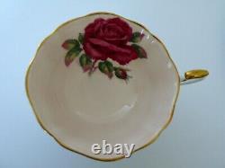 Paragon R. Johnson Red Cabbage Rose Tea Cup & Saucer Set