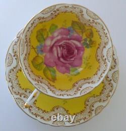 Paragon Yellow Pink Cabbage Rose Tea Cup & Saucer Set