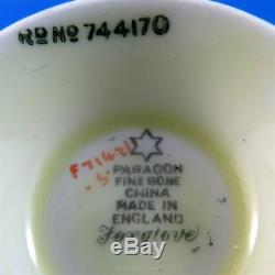 Rare Star Mark Hand Painted Foxglove Paragon Tea Cup and Saucer Set