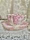 Rare Wileman Foley Shelley Pink Scallop Tea Cup Saucer Set Daisy 5172 Berry