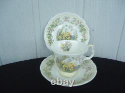 Royal doulton brambly hedge spring full size trio cup & saucer plate set