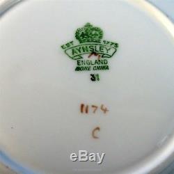 Sage Green Background D. Jones Fruit Painted Aynsley Tea Cup and Saucer Set