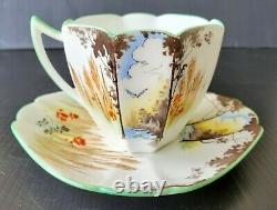 Scarce Shelley Queen Anne Corn and Poppies Teacup and Saucer Set Vintage Tea cup