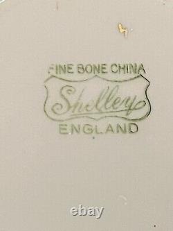 Shelley Bone China Mint Green Bailey's Paisley Ripon Shape Tea Cup & Saucer Set