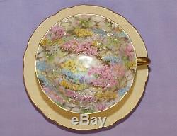 Shelley Wide Mouth Oleander Rock Garden Chintz Tea Cup & Teacup And Saucer Set